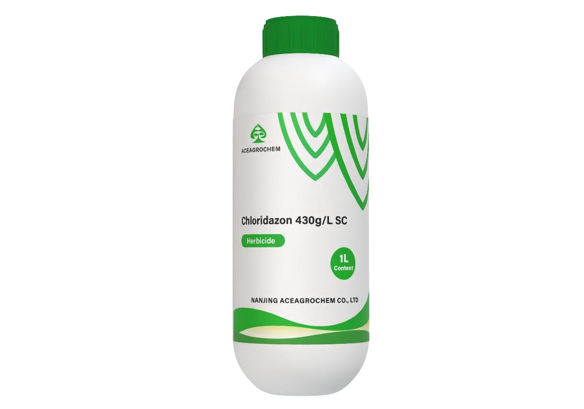 Chloridazon 430g/L SC